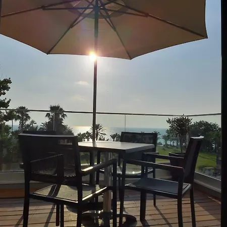 Terrazza Пафос